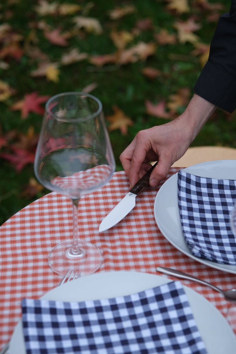 COUTEAUX DE TABLE